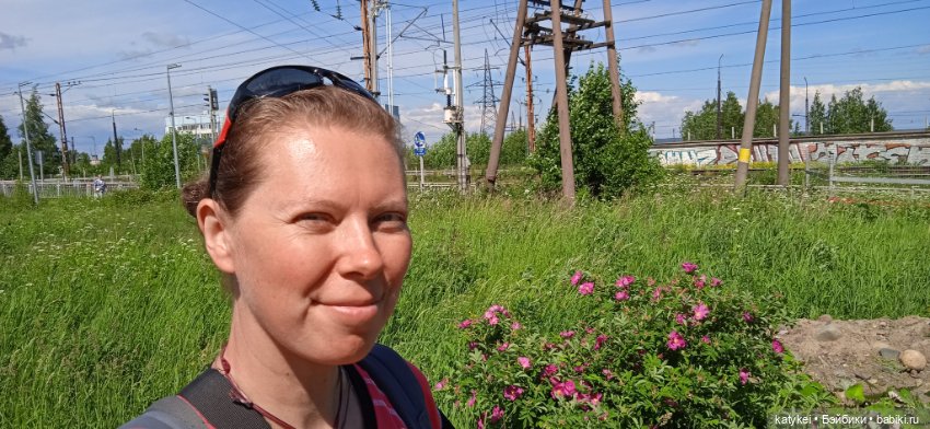 Шиповниковое мороженое и другие