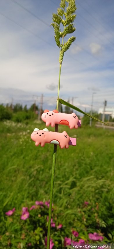 Шиповниковое мороженое и другие