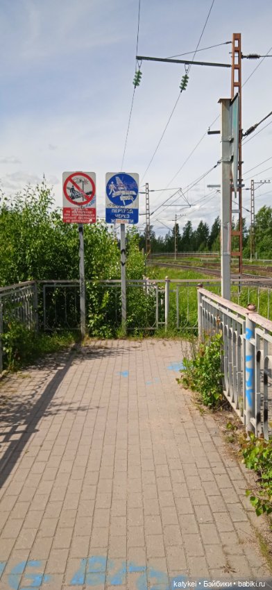 Шиповниковое мороженое и другие