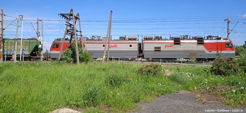 Шиповниковое мороженое и другие