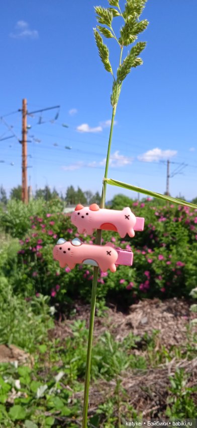 Шиповниковое мороженое и другие