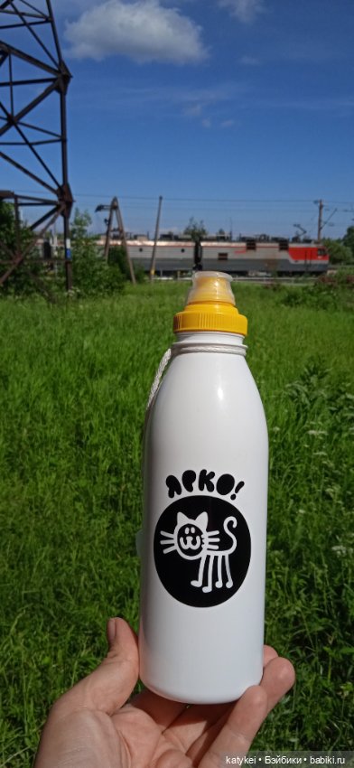 Шиповниковое мороженое и другие