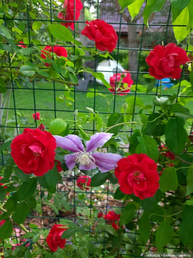 Монстры на каникулах — Аналоги Барби и куклы 1/6: клоны 90