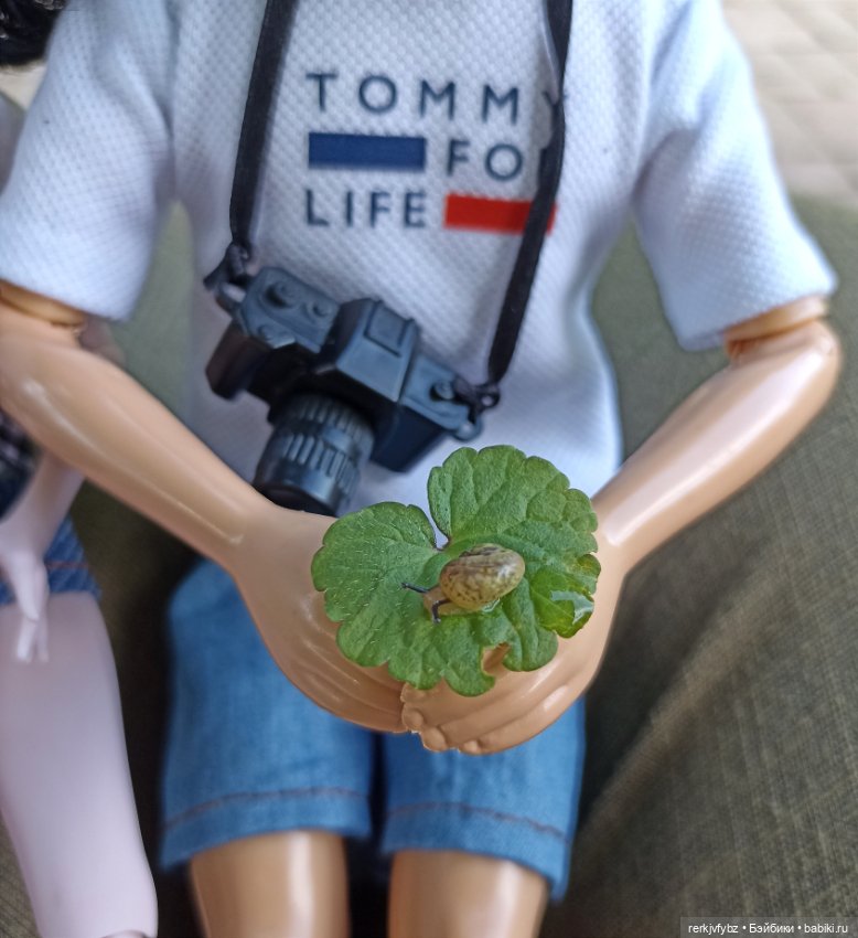 Монстры на каникулах — Аналоги Барби и куклы 1/6: клоны 90 (фото 6)