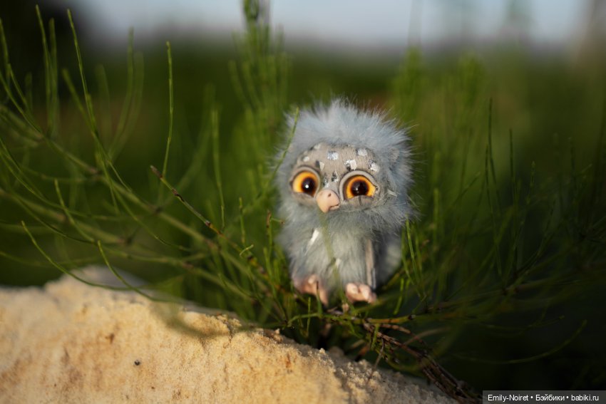 На закате — Фэшн (фото 10)