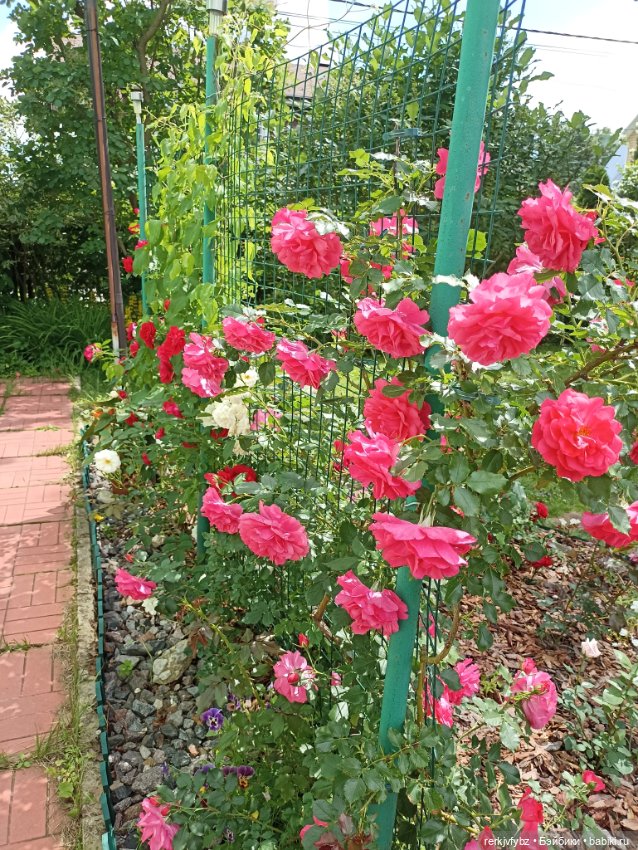 Монстры на каникулах — Аналоги Барби и куклы 1/6: клоны 90