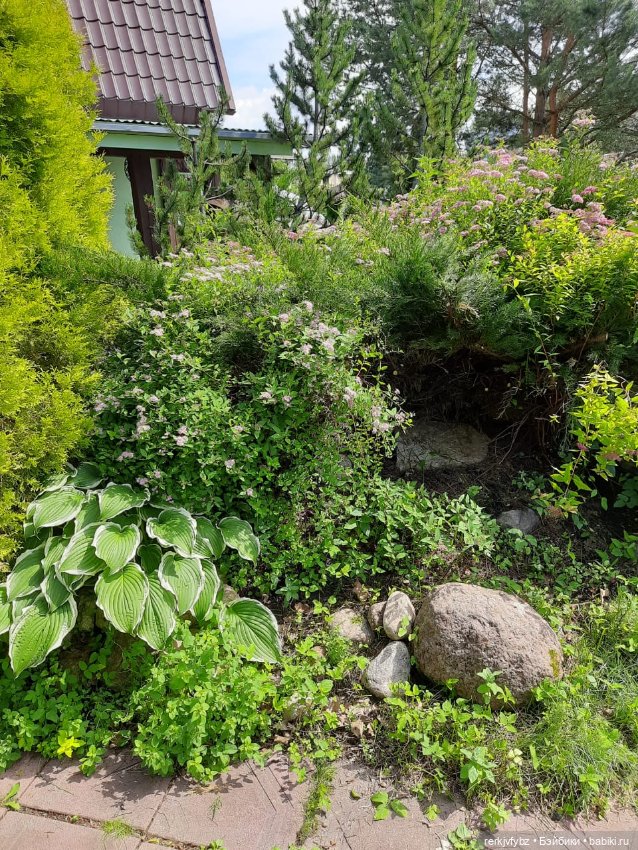 Монстры на каникулах — Аналоги Барби и куклы 1/6: клоны 90