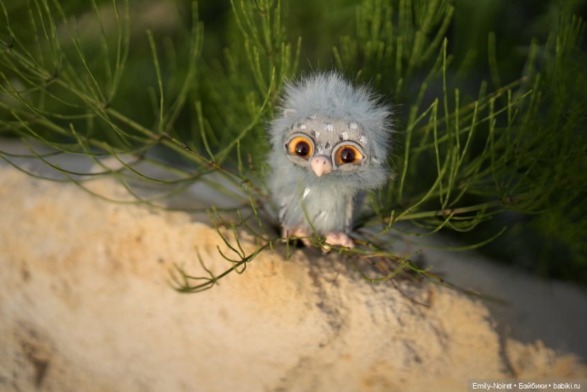 На закате — Фэшн (фото 9)