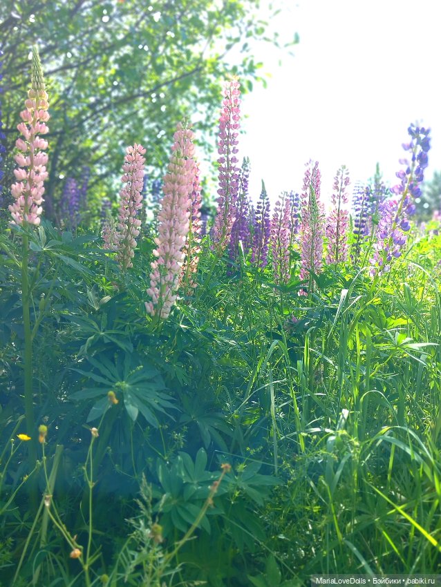 В объятьях лета — Куклы Paola Reina (Паола Рейна): новинки