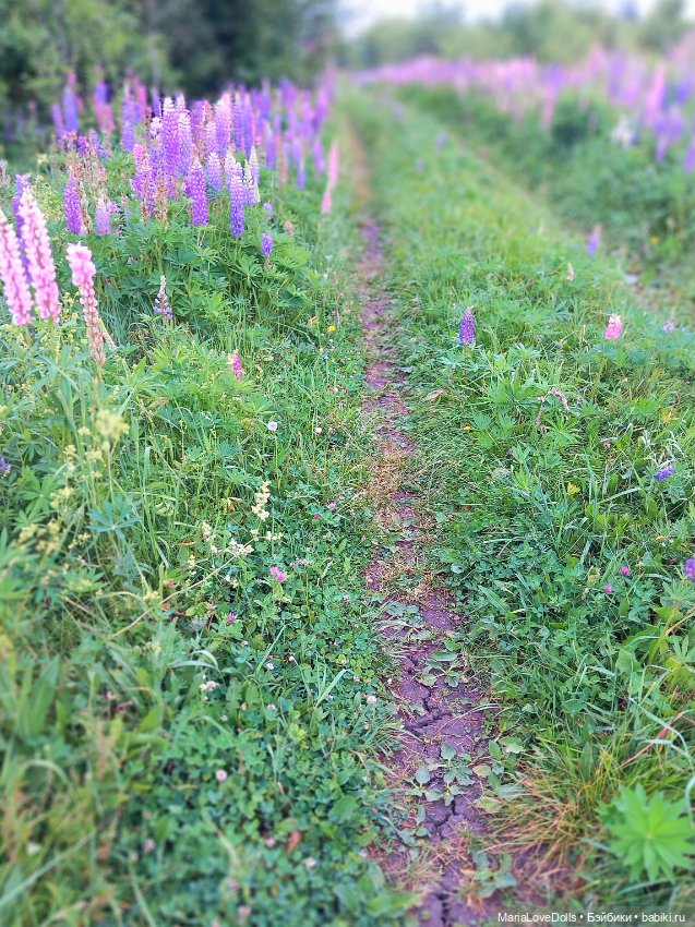 В объятьях лета — Куклы Paola Reina (Паола Рейна): новинки