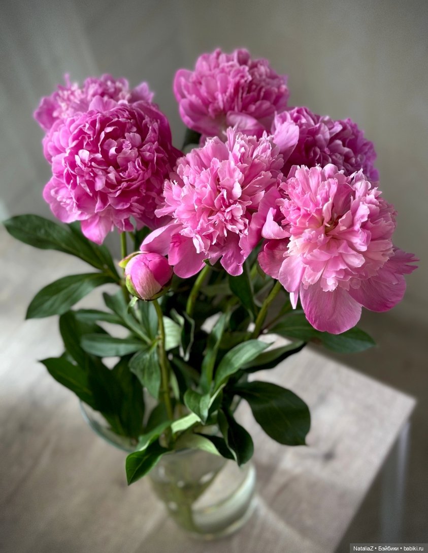 Балеринка — Куклы Paola Reina (Паола Рейна): новинки