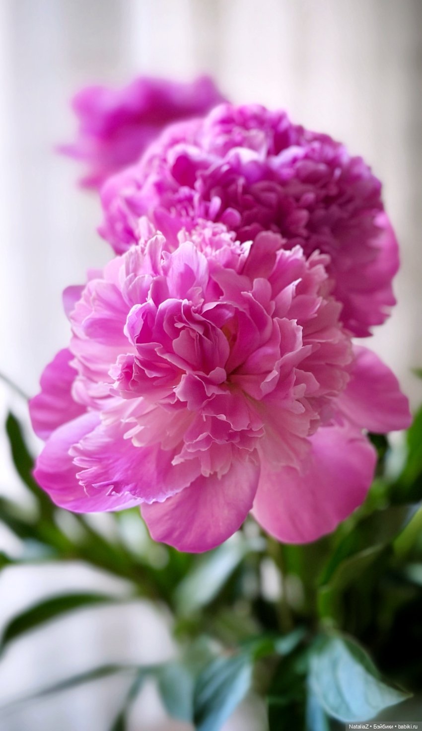 Балеринка — Куклы Paola Reina (Паола Рейна): новинки