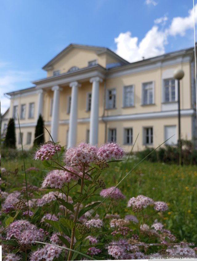 Джейки в усадьбе Свиблово