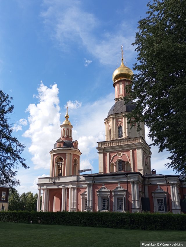 Джейки в усадьбе Свиблово (фото 8)