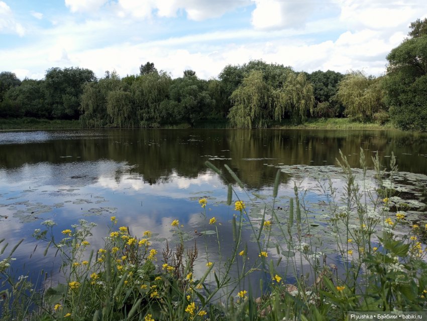 Джейки в усадьбе Свиблово
