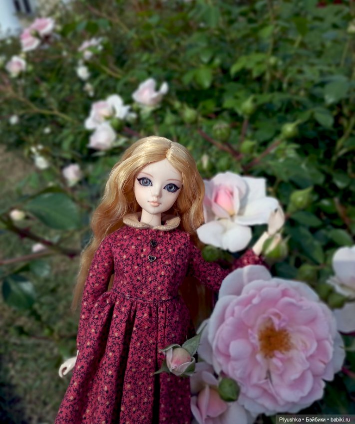 Джейки в усадьбе Свиблово