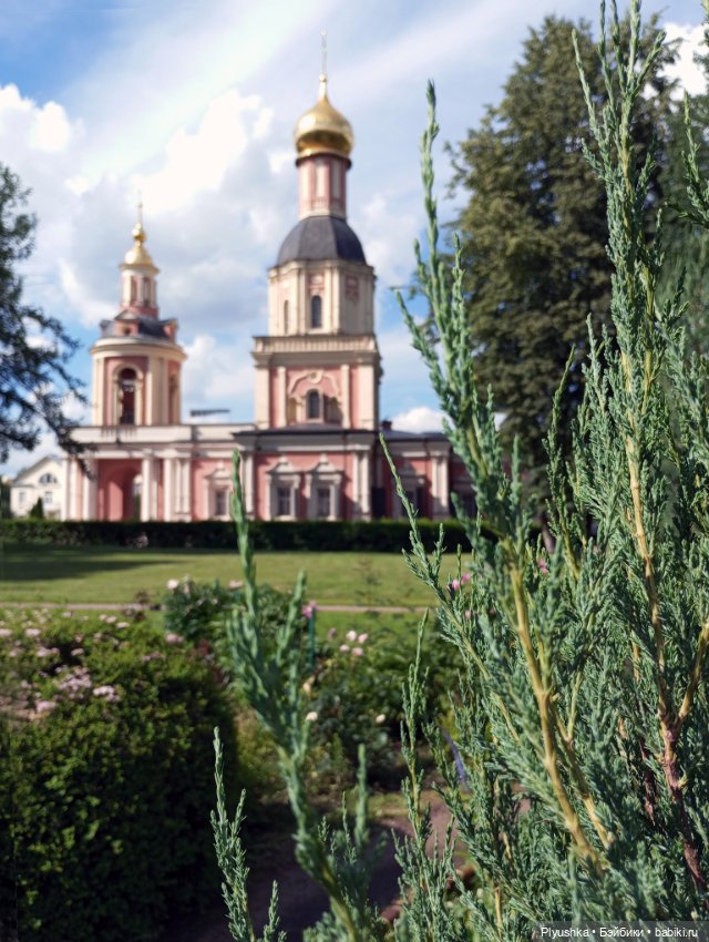 Джейки в усадьбе Свиблово (фото 5)