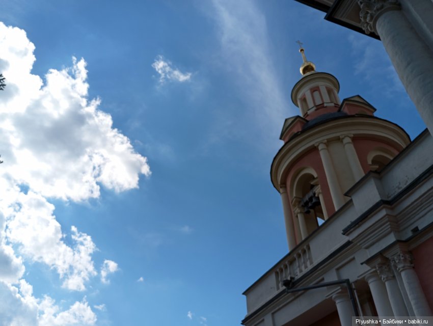 Джейки в усадьбе Свиблово (фото 9)