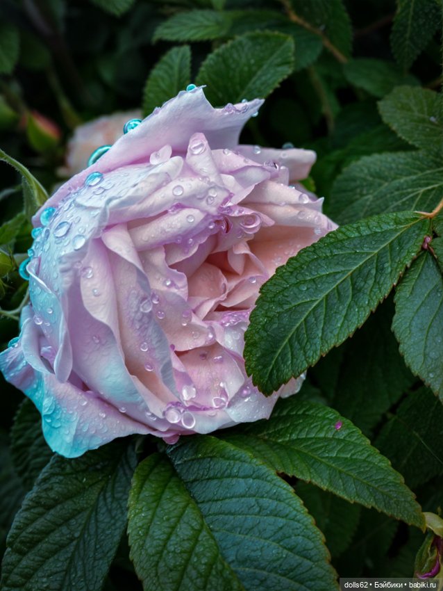 Ах, Июнь, Июнь — Куклы Fairyland (ФэйриЛэнд): BJD (БЖД) (фото 10)