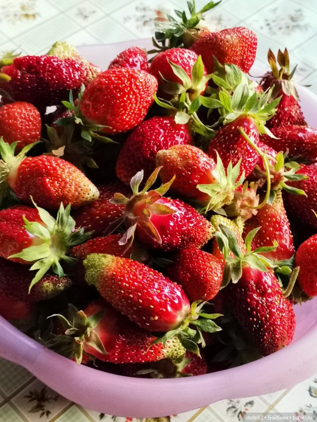 Ах, Июнь, Июнь — Куклы Fairyland (ФэйриЛэнд): BJD (БЖД) (фото 8)