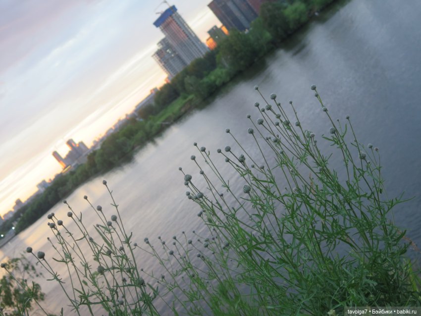 Катринас-Мария и Мёрдок следят за порядком в городе