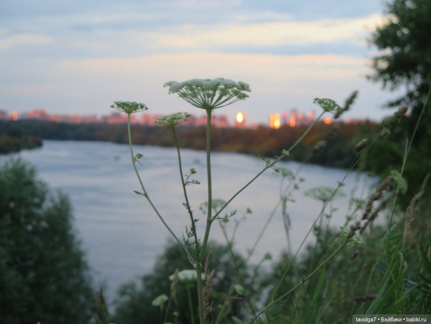 Катринас-Мария и Мёрдок следят за порядком в городе