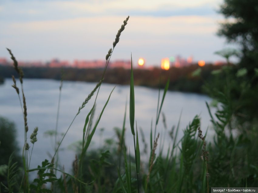 Катринас-Мария и Мёрдок следят за порядком в городе