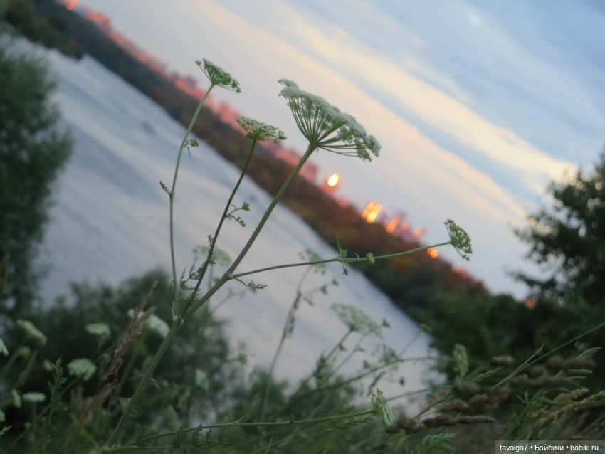 Катринас-Мария и Мёрдок следят за порядком в городе