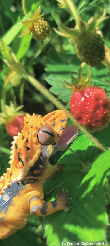 Гошка в лете — Коллекционные экшн (фото 4)