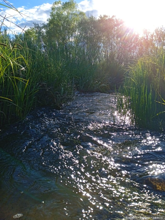 В пригороде Благовещенска