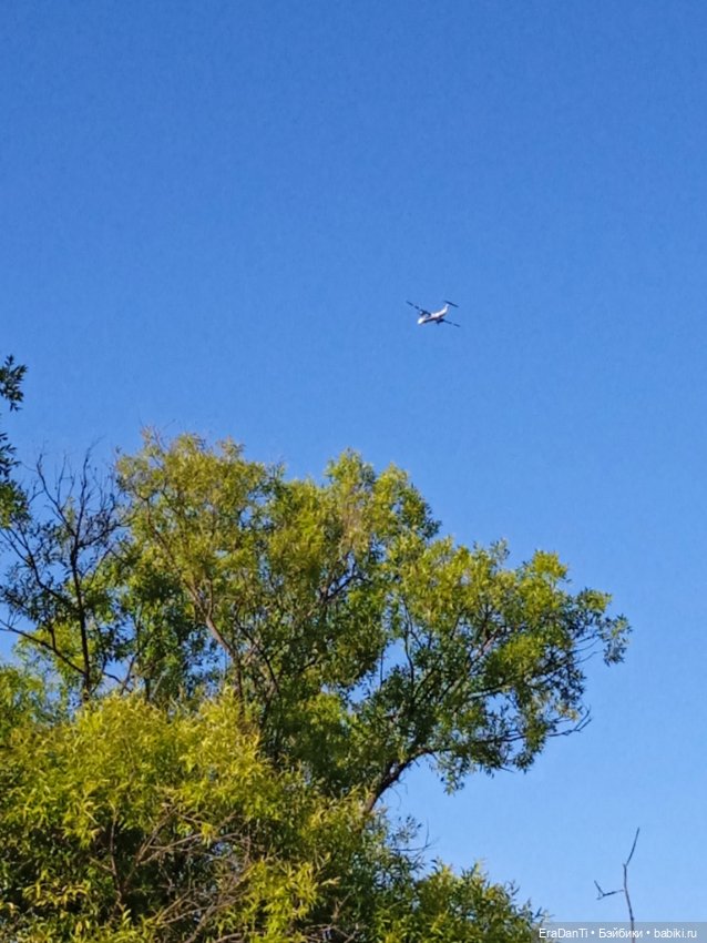 В пригороде Благовещенска