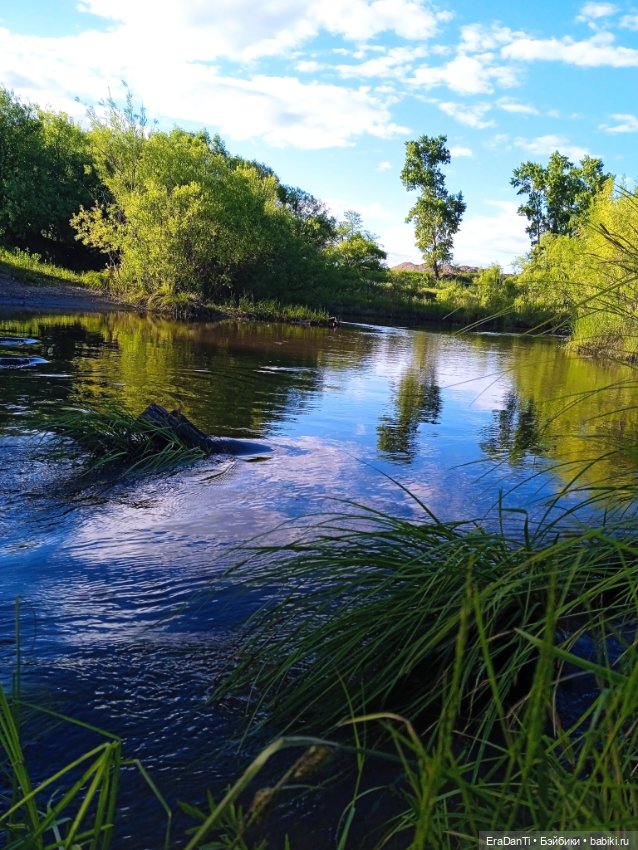 В пригороде Благовещенска
