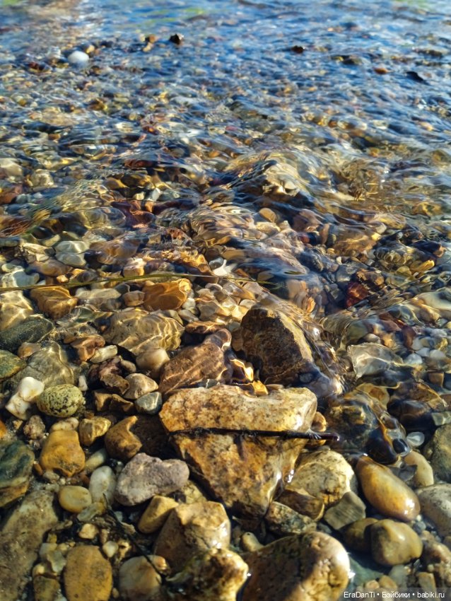 В пригороде Благовещенска