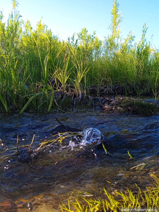 В пригороде Благовещенска