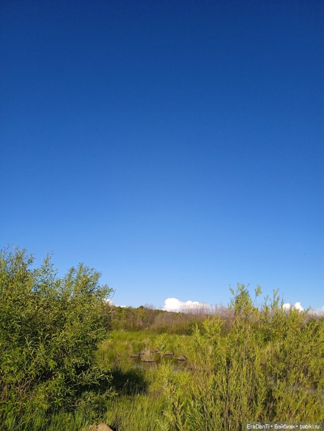 В пригороде Благовещенска