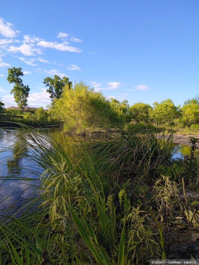 В пригороде Благовещенска