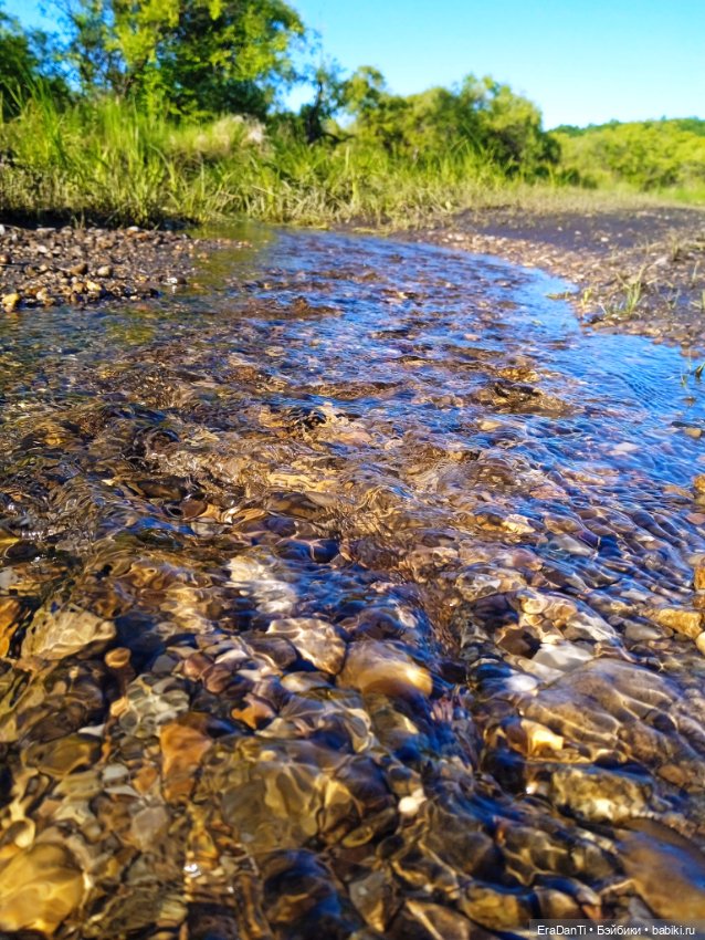 В пригороде Благовещенска