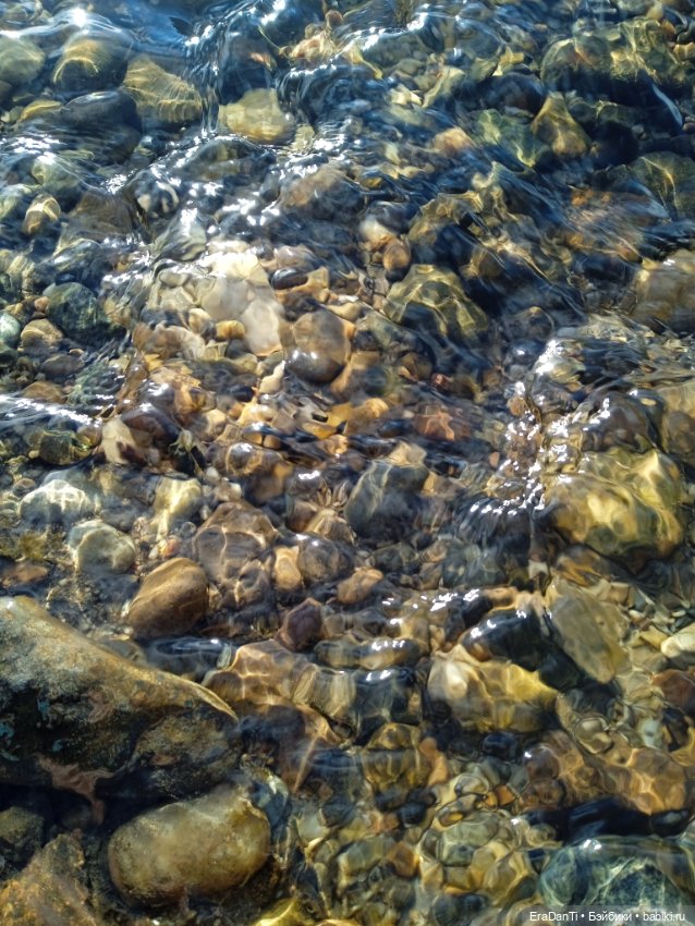 В пригороде Благовещенска