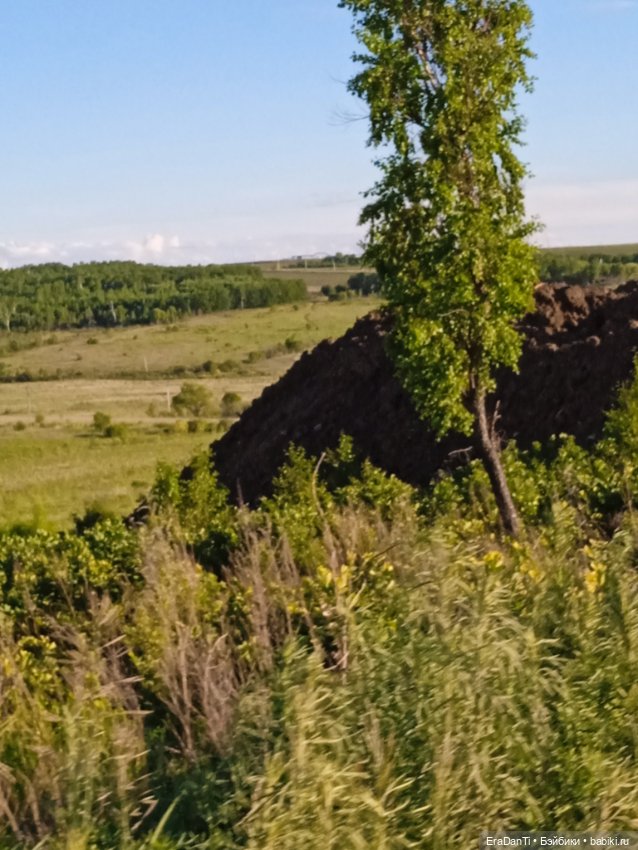 В пригороде Благовещенска