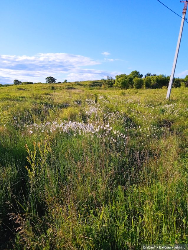 В пригороде Благовещенска