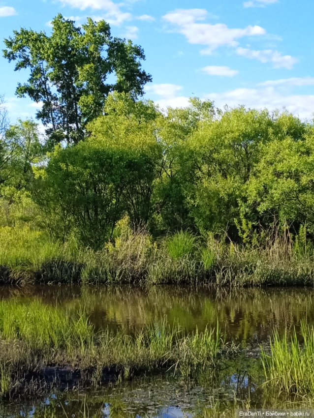 В пригороде Благовещенска (фото 9)