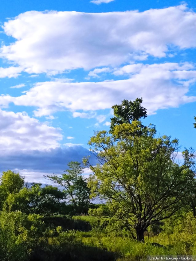 В пригороде Благовещенска (фото 8)