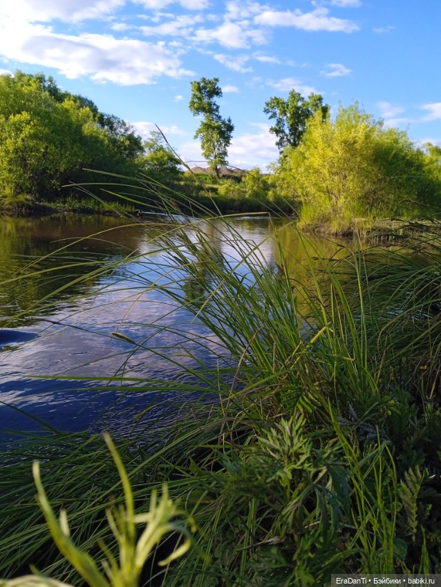 В пригороде Благовещенска (фото 10)