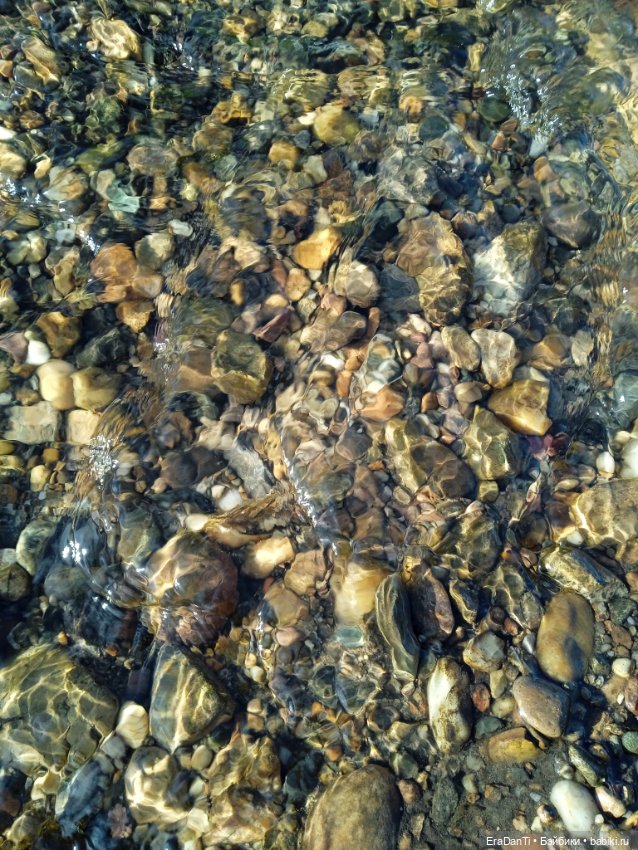 В пригороде Благовещенска