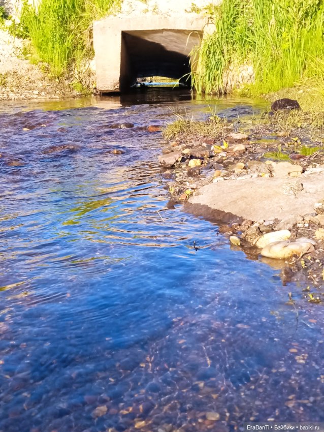 В пригороде Благовещенска