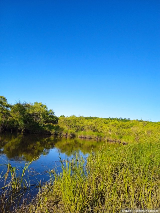 В пригороде Благовещенска (фото 6)