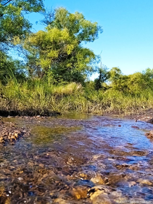 В пригороде Благовещенска
