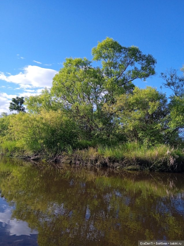 В пригороде Благовещенска (фото 7)