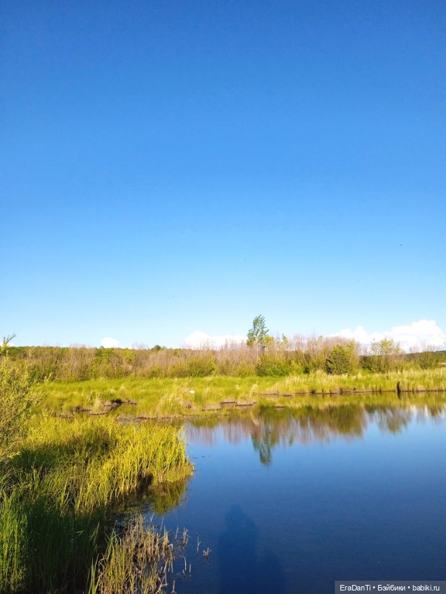 В пригороде Благовещенска