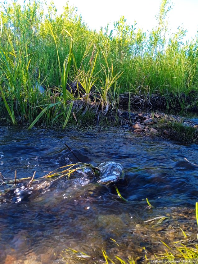 В пригороде Благовещенска